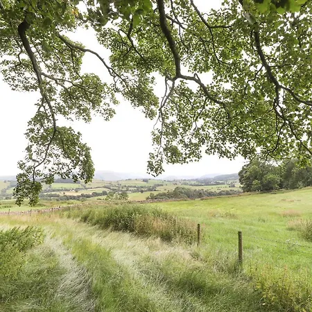 Brow Wood * ペンリス